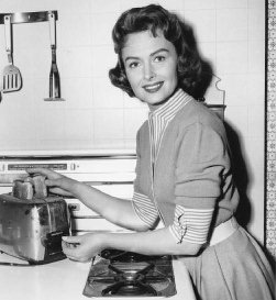 Image result for trying to be a better wife donna reed